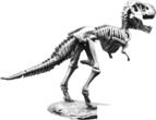 T-REX SKELETON Tyrannosaurus 5 Oz Silver Statue Antique Finish