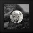 2000 Torog BISON Wild Mongolia 3 Oz Silver Coin 2000 Togrog Mongolia 2025 Proof