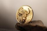 BISON Wild Mongolia 1 Oz Gold Coin 25000 Togrog Mongolia 2025 Proof
