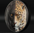 20 Dollars JAGUAR Day and Night 3 Oz Silver Coin 20$ Palau 2023 Obsidian Black Proof