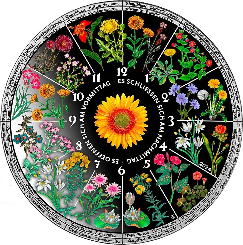 30 Dollars HOROLOGIUM FLORAE Floral Clock Coloured 3 Oz Silver