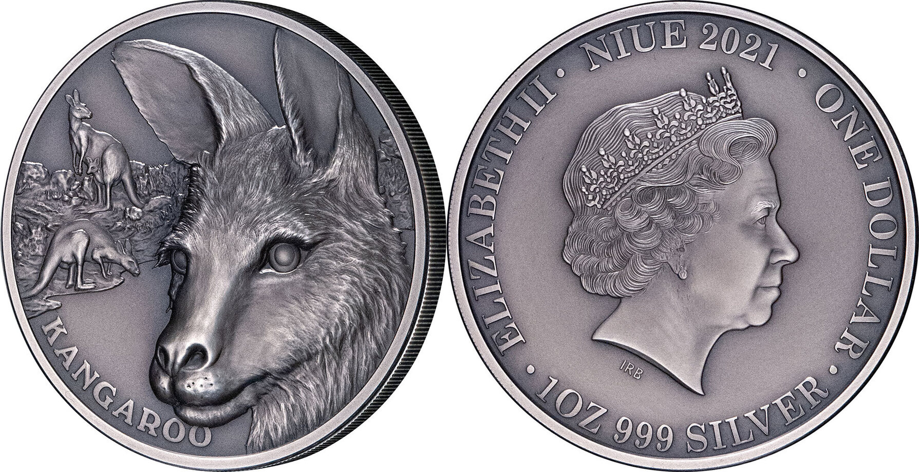 1 Dollar KANGAROO Wildlife Up Close 1 Oz Silver Coin 1$ Niue 2021 Antique  Finish | MA-Shops