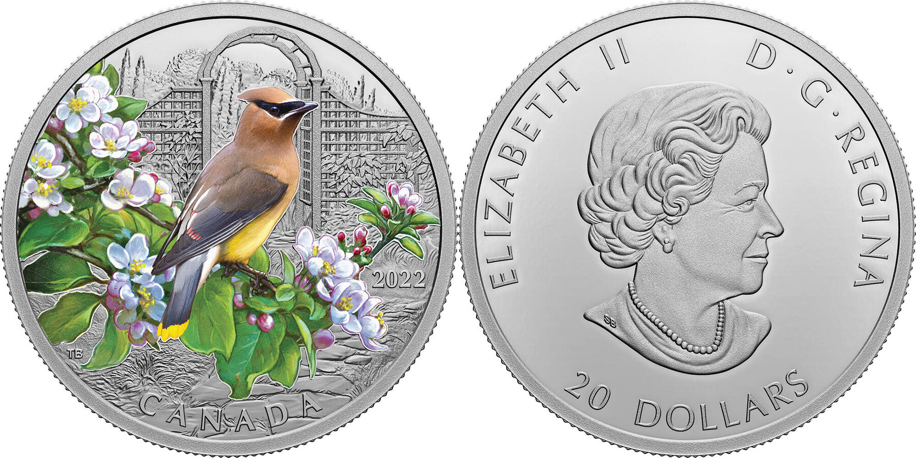 20 Dollars CEDAR WAXWING Colourful Birds 1 Oz Silver Coin 20 Canada 