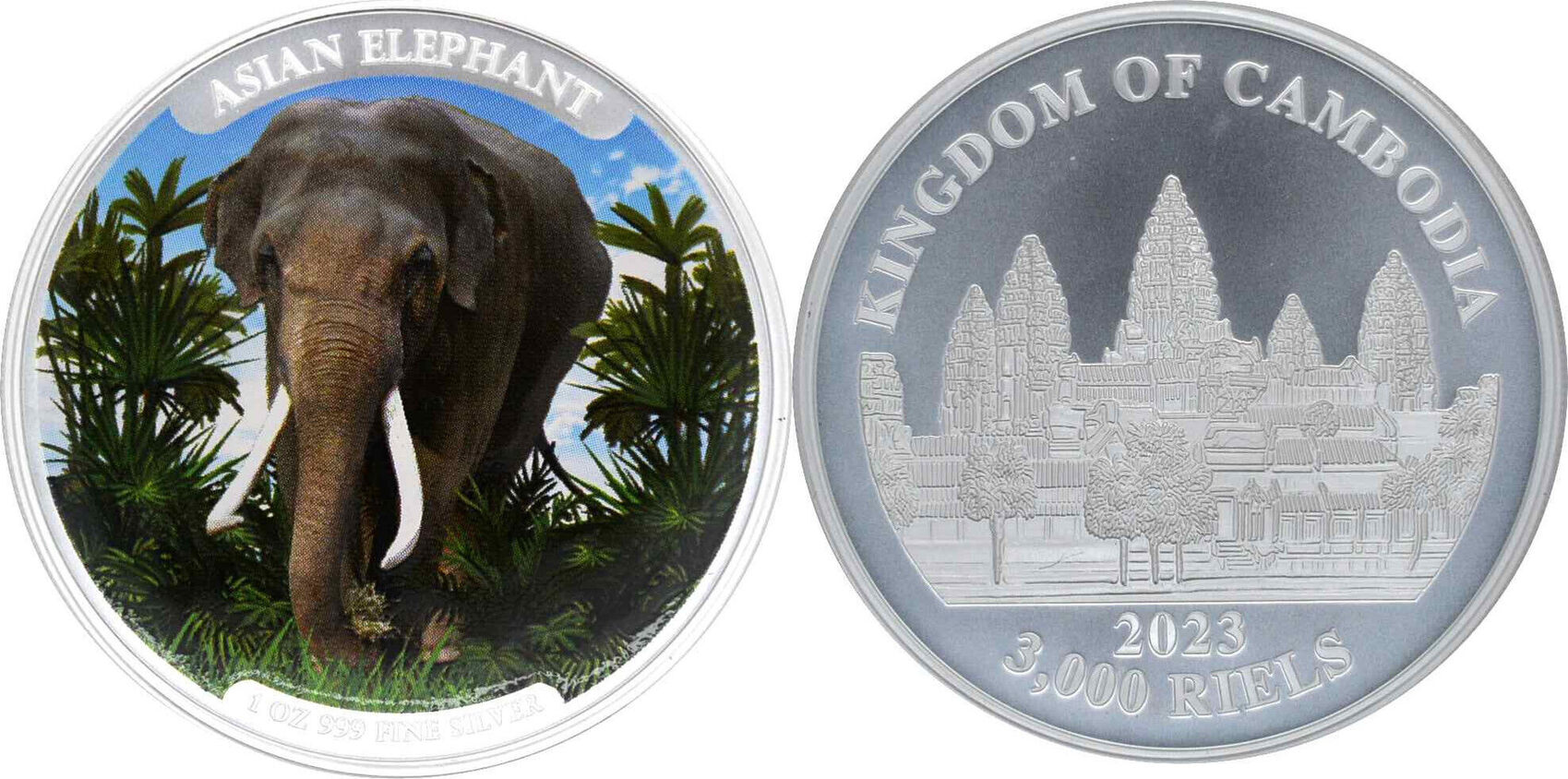 ASIAN ELEPHANT 1 Oz Silver Coin 3000 Riels Cambodia 2023 BU