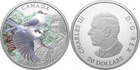 Canada 20 Dollars 2026 CANADA JAYS Colourful Birds 1 Oz Silver Coin 20$ ... 185.10 US$  +  23.15 US$ shipping