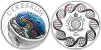Niue 1 Dollar 2026 BRAIN Human Body 1 Oz Silver Coin 1$ Niue 2026 PP 1,246.94 元  ＋  155.92 元 运费
