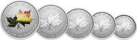 Canada 1 Dollar - 5 Dollars 2027 MAPLE LEAF Set 5x Silver Coin Canada 20... 3,273.86 元  ＋  155.92 元 运费