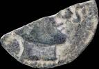 IBERIAN PUNIC REPUBLICAN Ancient Spain - Searo, Utrera (Sevilla) Ae As - 25 mm / 3.60 gr. -