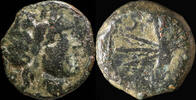 IBERIAN PUNIC REPUBLICAN Ancient Hispania - Carteia, San Roque (Cádiz) - Ae Semis - 21 mm / 6.14 g -