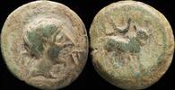 IBERIAN PUNIC REPUBLICAN Castulo, Cazlona (Jaén), Ae Semis - 20 mm / 5.35 gr. -