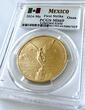 Onza Mexico – 2024 – Libertad – Gold Coin 1 oz – First Strike MS69