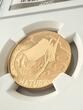 S.AFRICA G50R 2009 NATURA South Africa – Natura – 2009 – White Rhinoceros – 50 Rand NGC PF 70 ULTRA CAMEO