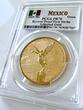 Onza Mexico – 2024 – Libertad – Gold Coin 1 oz Reverse Proof – First Strike PR70