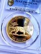Gambia – 1996 – 200 Dalasis – Lion – Endangered Wildlife PR69DCAM