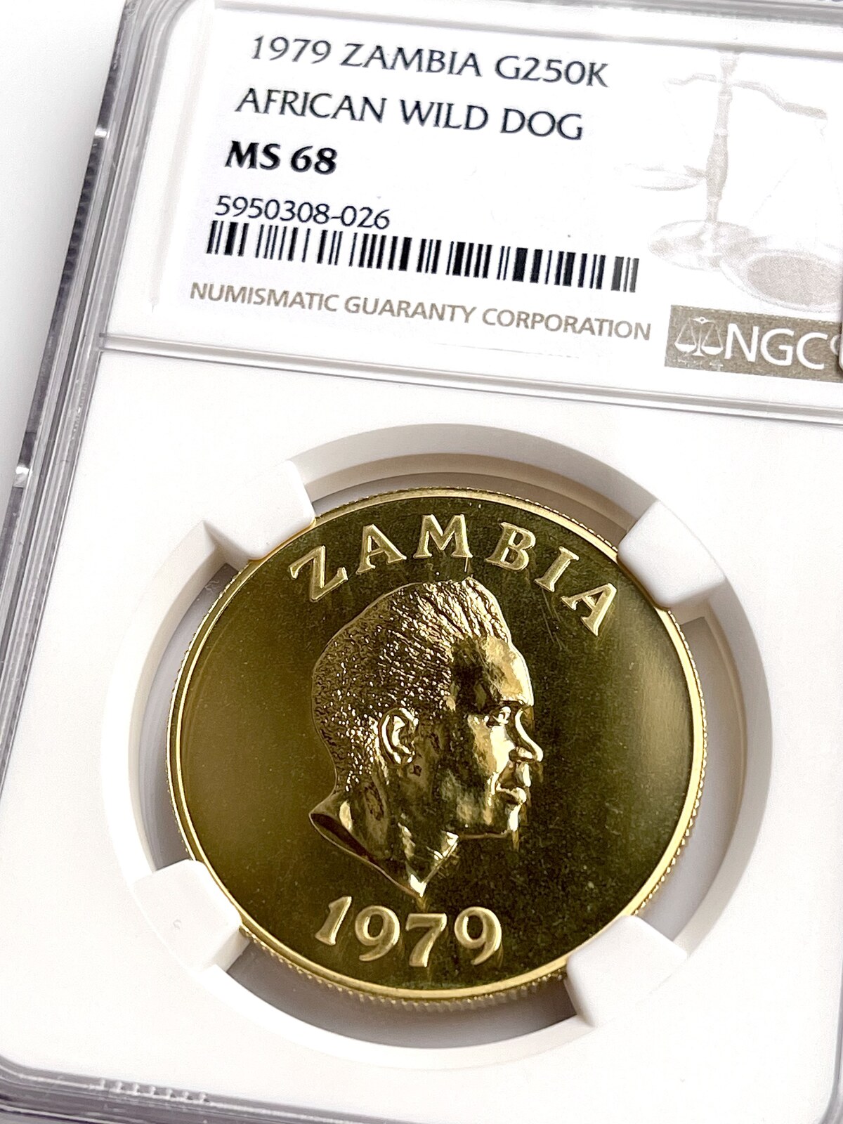 G250K Zambia – 1979 – 250 Kwacha – Conservation – African Wild Dog