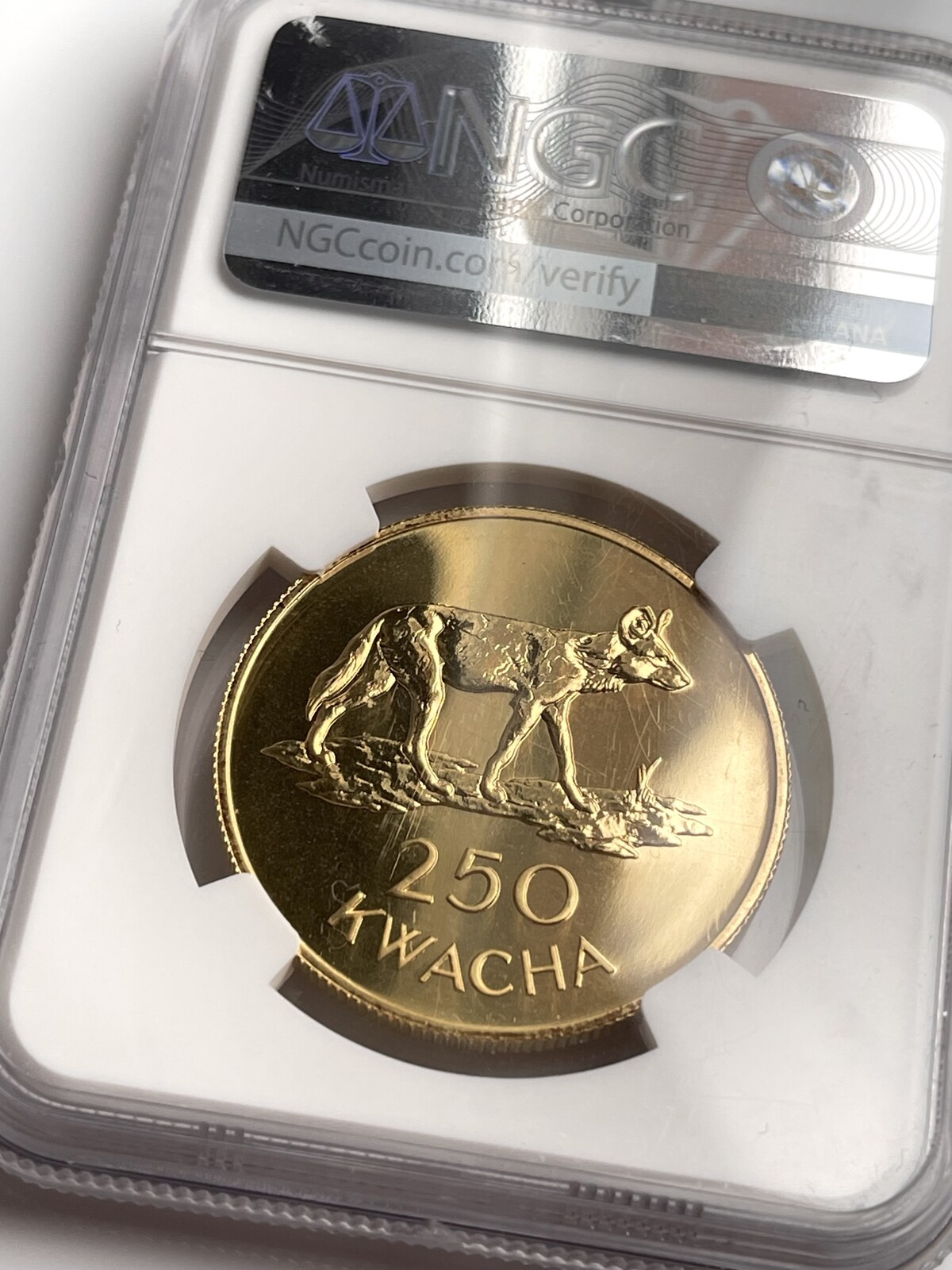 BOTSWANA・SPECIMEN・1・2・5・10・20プーラ【1979年】 BOTSWANA・SPECIMEN・1・2・5・10・20プーラ【1979年】 Botswana