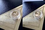Südafrika 10 Rand South Africa – Natura – 2017 – Springbok – 1/10oz Proof Gold with Box and COA -