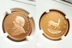 S.AFRICA 1/2KR South Africa – 2012 – Krugerrand – 1/2 oz Gold Proof – One of First 300 Struck -