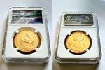 S.Africa G100R 2017 South Africa &ndash; 2017 &ndash; Natura Springbok Coert-Steynbe... 7,175.02 US$  +  172.43 US$ shipping