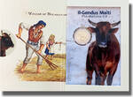 2 Euro 2025 Malta Il-Gendus Malti The Maltese Ox  Coin Card