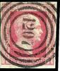 Preußen Nummernstempel 1207 - Rawitsch (government district Posen), S.O.T.N on extremely fine copy 1 Sgr. Rose, smooth ground -