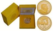 Vaticaan 100 Euro 2009 The Sistine Chapel - The Banishment from the Garden of Eden - Rare Coin! Proo