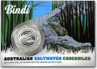 Australia 1 Dollar Saltwater Crocodile - Bindi -