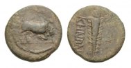  Bronze 200 B.C. Mysien Kyzicos 200. Jahrhundert vor Christus sehr schön  50,00 EUR  +  5,00 EUR shipping