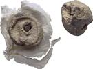 Ionien Ephesos Tessera Siegel -