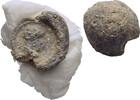 Ionien Ephesos Tessera Siegel -