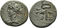 Antiochia /Syrien Bronze ( dichalkon) Bronze 146 - 147 nach Christus. -