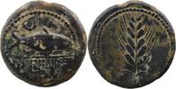 Celtic coins  Celtiberians  Ilipense  ESPAGNE - Ilipense (Alcala del Rio... 267.79 US$  +  8.15 US$ shipping