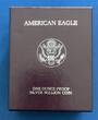 USA 1 Dollar 1 Unze Silber 1989 American Eagle - Vereinigte Staaten von Amerika 1 oz Silber bu in Kapsel und Etui