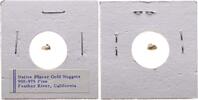 USA Nugget Goldnugget - Feather River California -