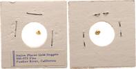USA Nugget Goldnugget - Feather River California -
