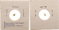 USA Nugget Goldnugget - Feather River California -