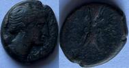 Syracuse (Sicily) ae bronze -