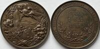 Nederland penning 1888 VZ 382.00 元  ＋  233.87 元 运费