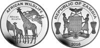 Sambia 5.000 Kwacha Sambia -