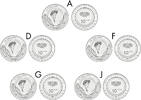 Deutschland 5 x 10 Euro Deutschland -