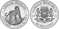 100 Shillings 2022 Somalia Somalia Stempelglanz