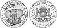 100 Shillings 2021 Somalia Somalia Stempelglanz