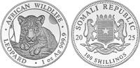 Somalia 100 Shillings Somalia -