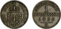 Brandenburg-Preußen Pfennig - Brandenburg-Preußen -