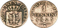 Brandenburg-Preußen 1 Pfennig Brandenburg-Preußen -