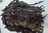 Afrika Kongo Alte Holz Maske Große Gesichtmaske , Tribal Kunst gebrauchter Zustand