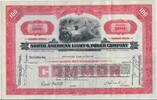 USA 100 Shares North American Light & Power Company 1939, Aktie Wertpapier -