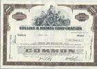 USA 100 Shares Collins & Aikman Corporation 1971, Aktie Wertpapier -