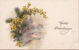 AK "Herzliche Weihnachtsgrüsse" um 1900 -