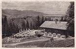Ak Alpenwildpark Rottach- Egern geg. Tegernsee -